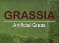 Grassia - Artificial Grass